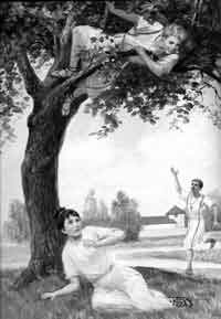 Unit 4: Sextus treed