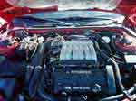 underhood_2